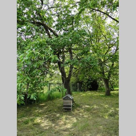 Miller'S Farm. Cottage On The Auhtie For 2 Hem-Hardinval 외부 사진