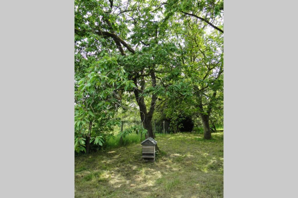 Miller'S Farm. Cottage On The Auhtie For 2 Hem-Hardinval 외부 사진
